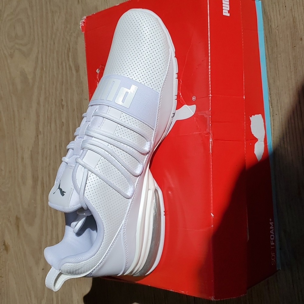 Pumas